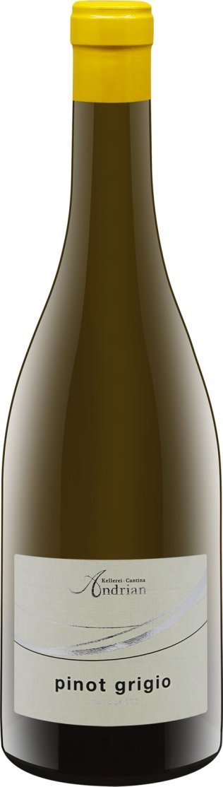 Pinot Grigio DOC 2024 75cl Kar. 6