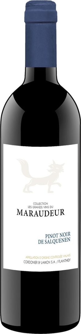 Grands Vins du Maraudeur Pinot Noir de Salquenen - Valais AOC 2022 75cl Kar. 6